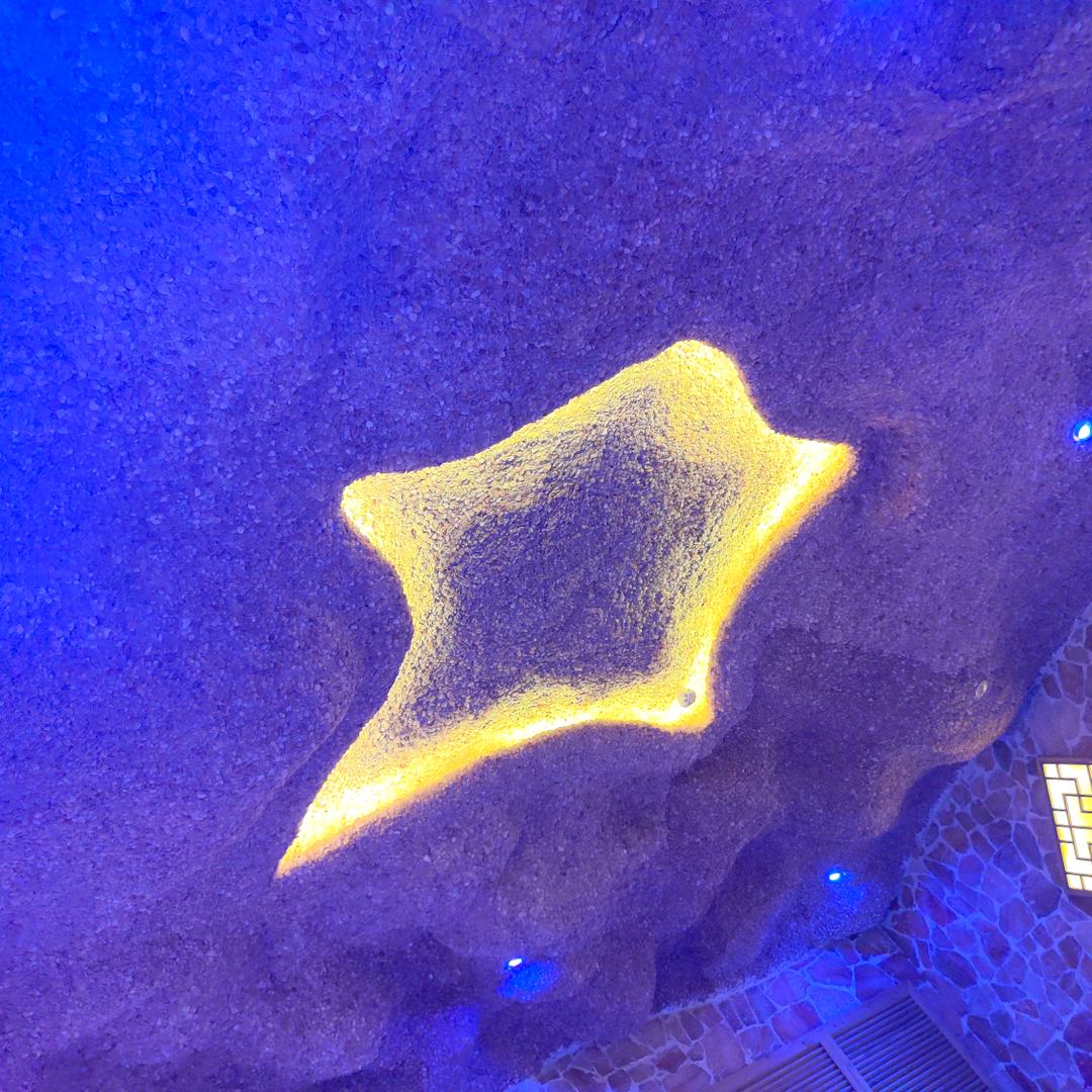 紫煊
