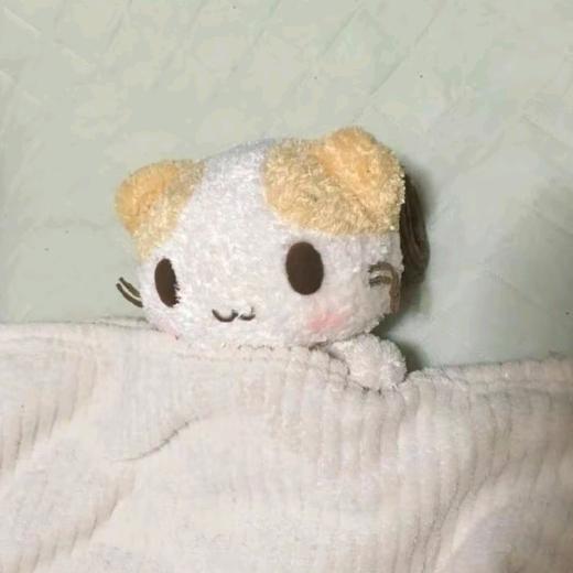suki辉