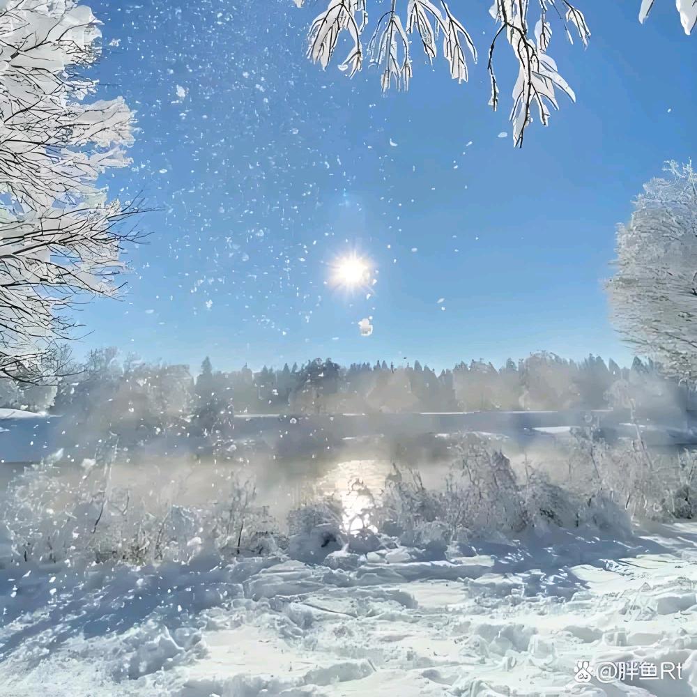 我姓王，我希望！