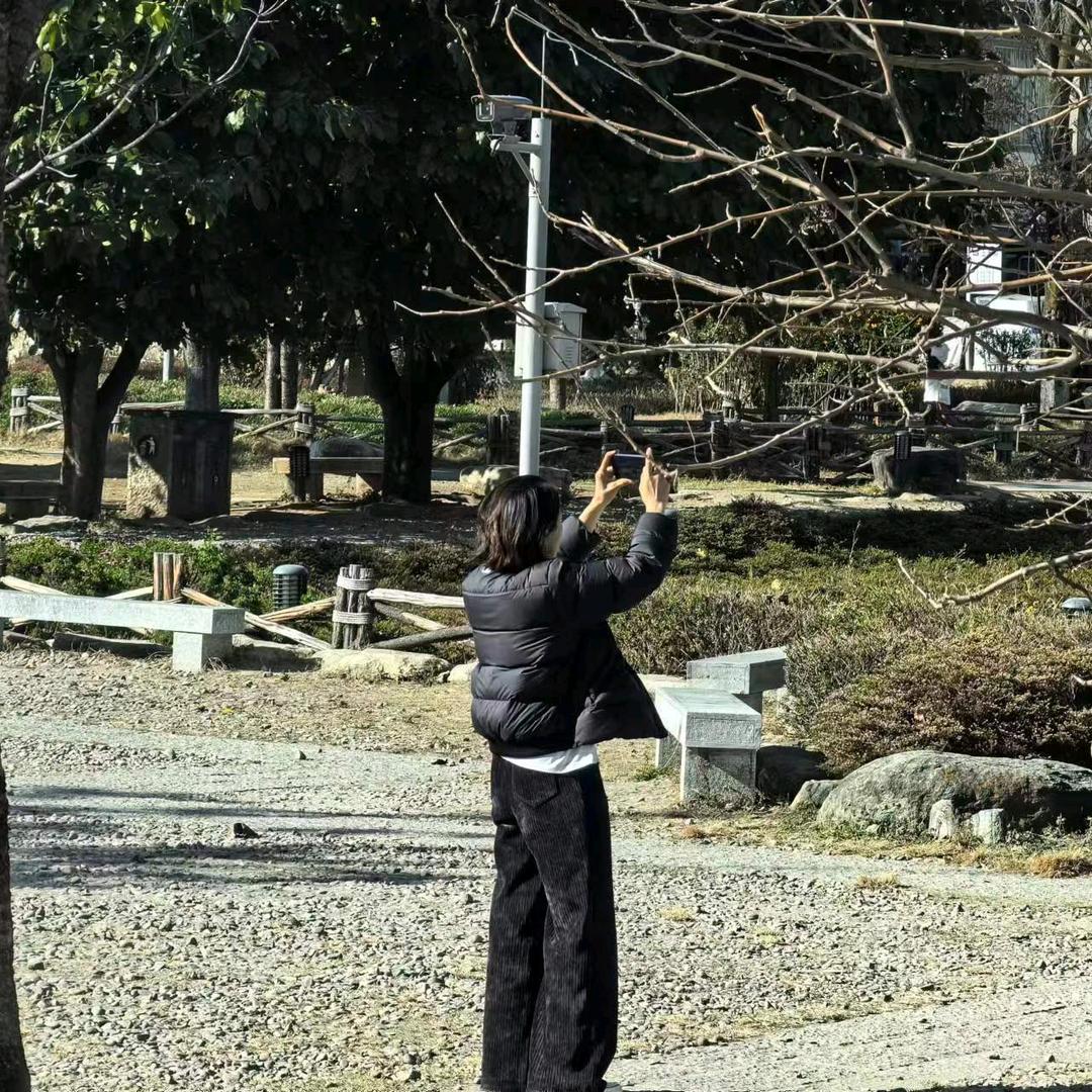 @不加糖的咖啡