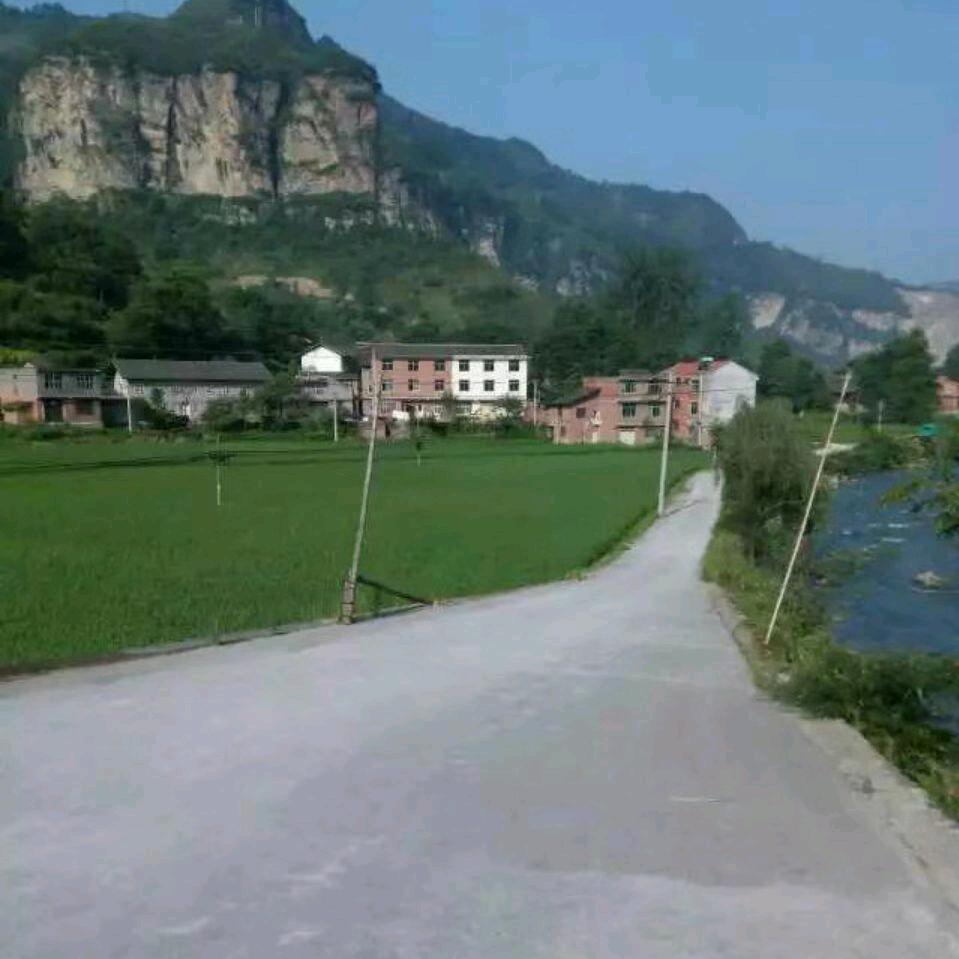 李书记
