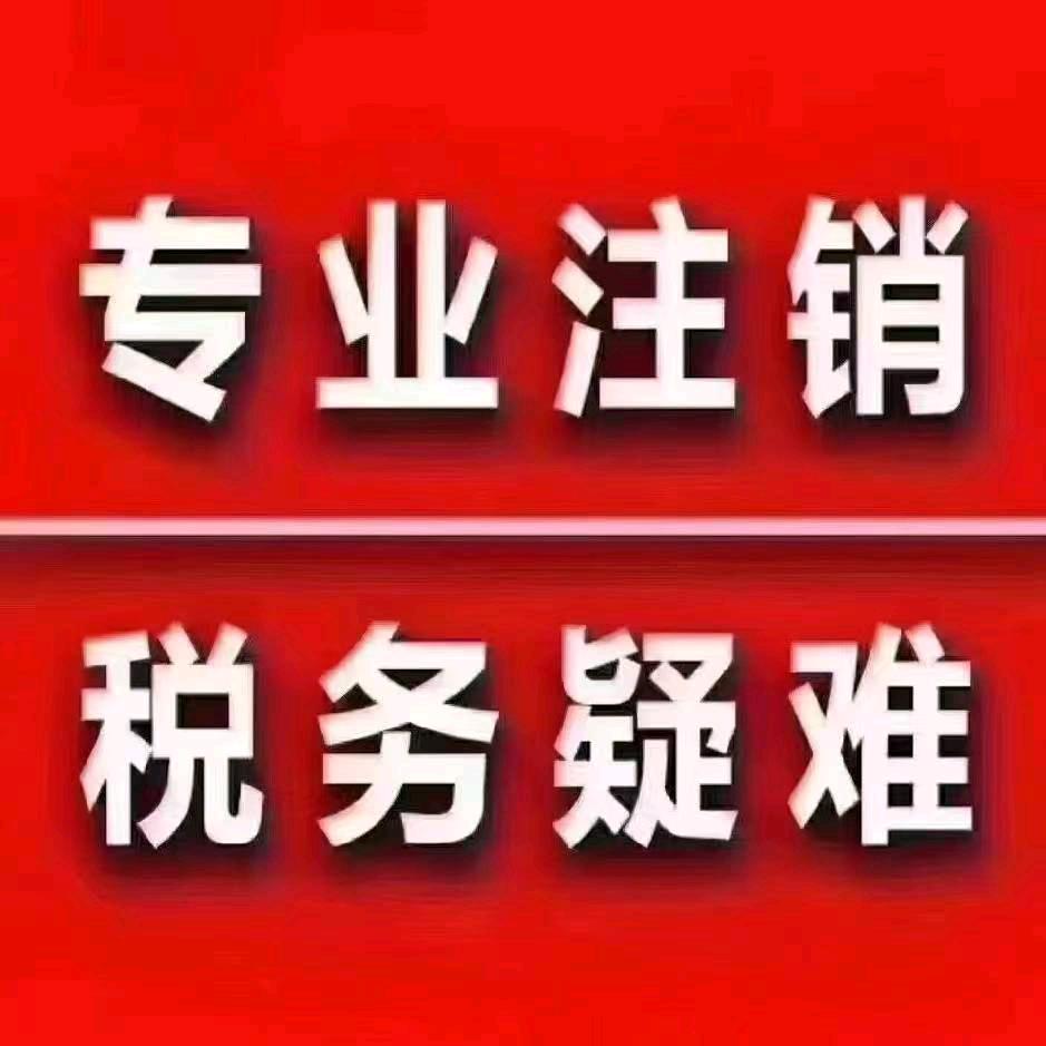 会计文老师