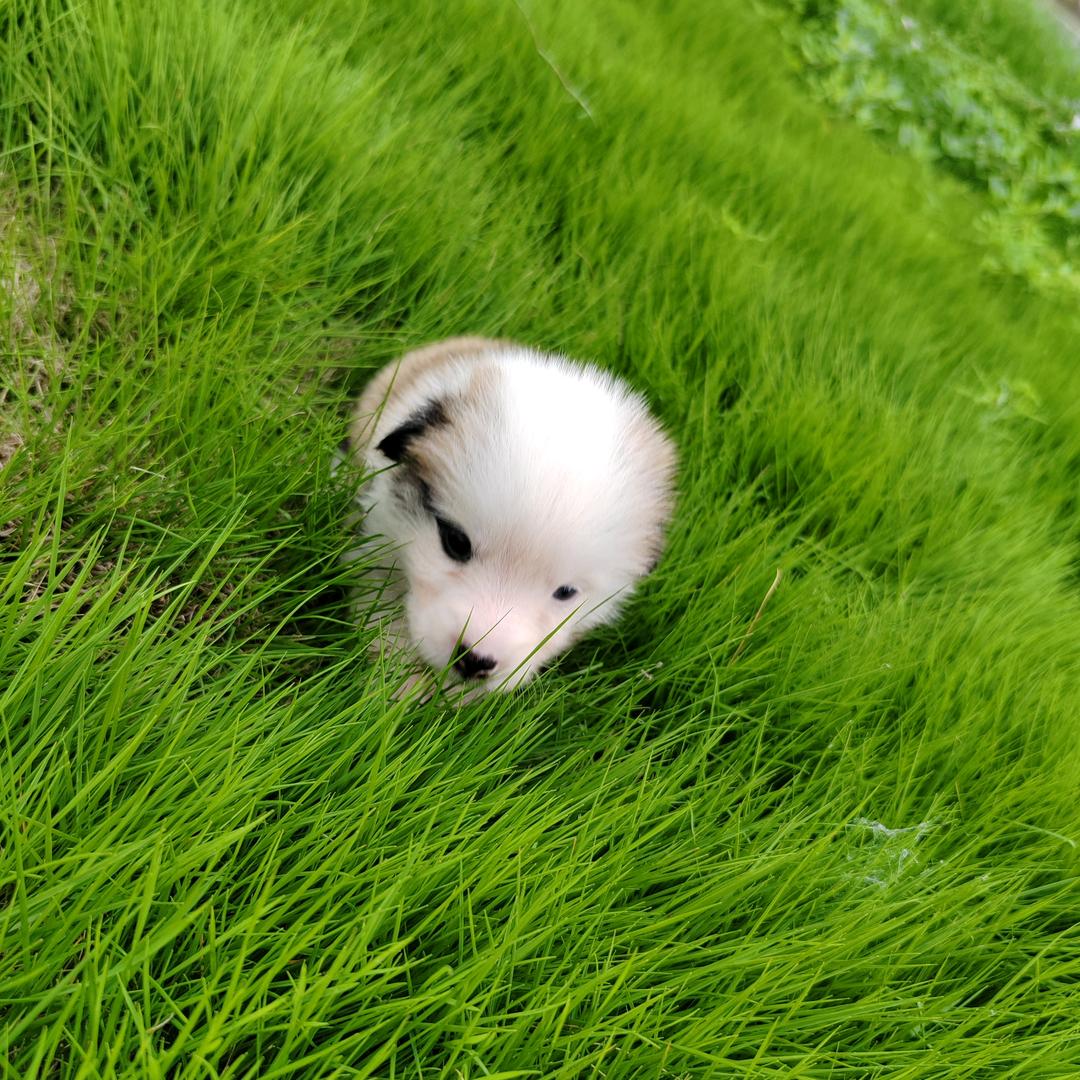 🦋ꦿ໊余生᭄🕊随心᭄