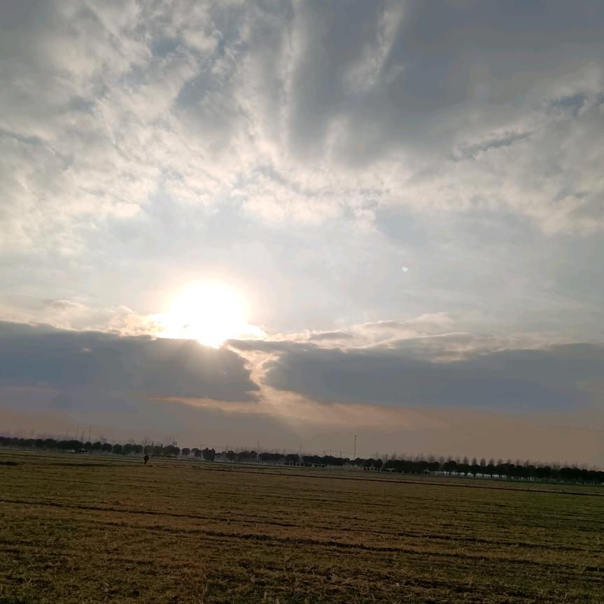 日出日出