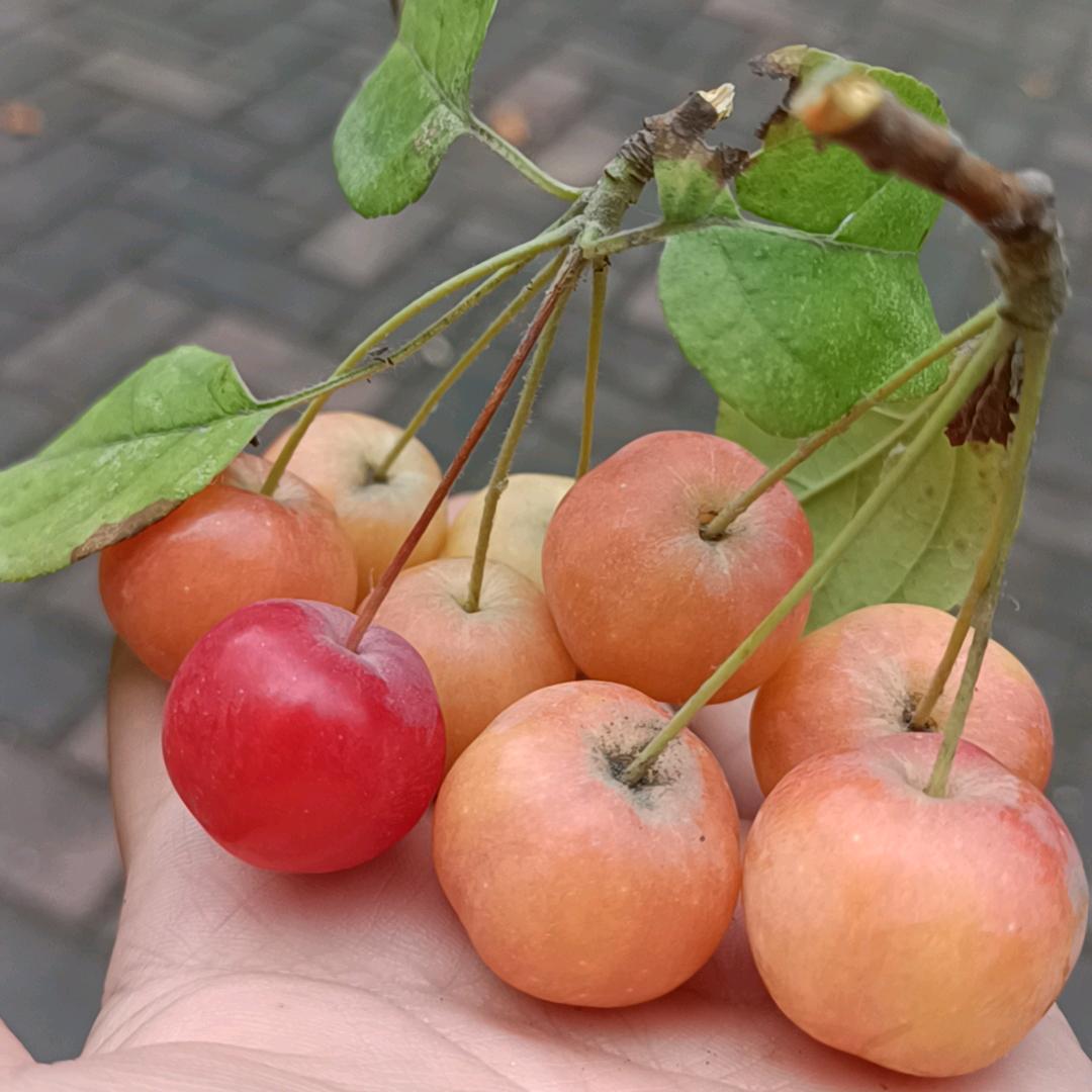 下一站会更好