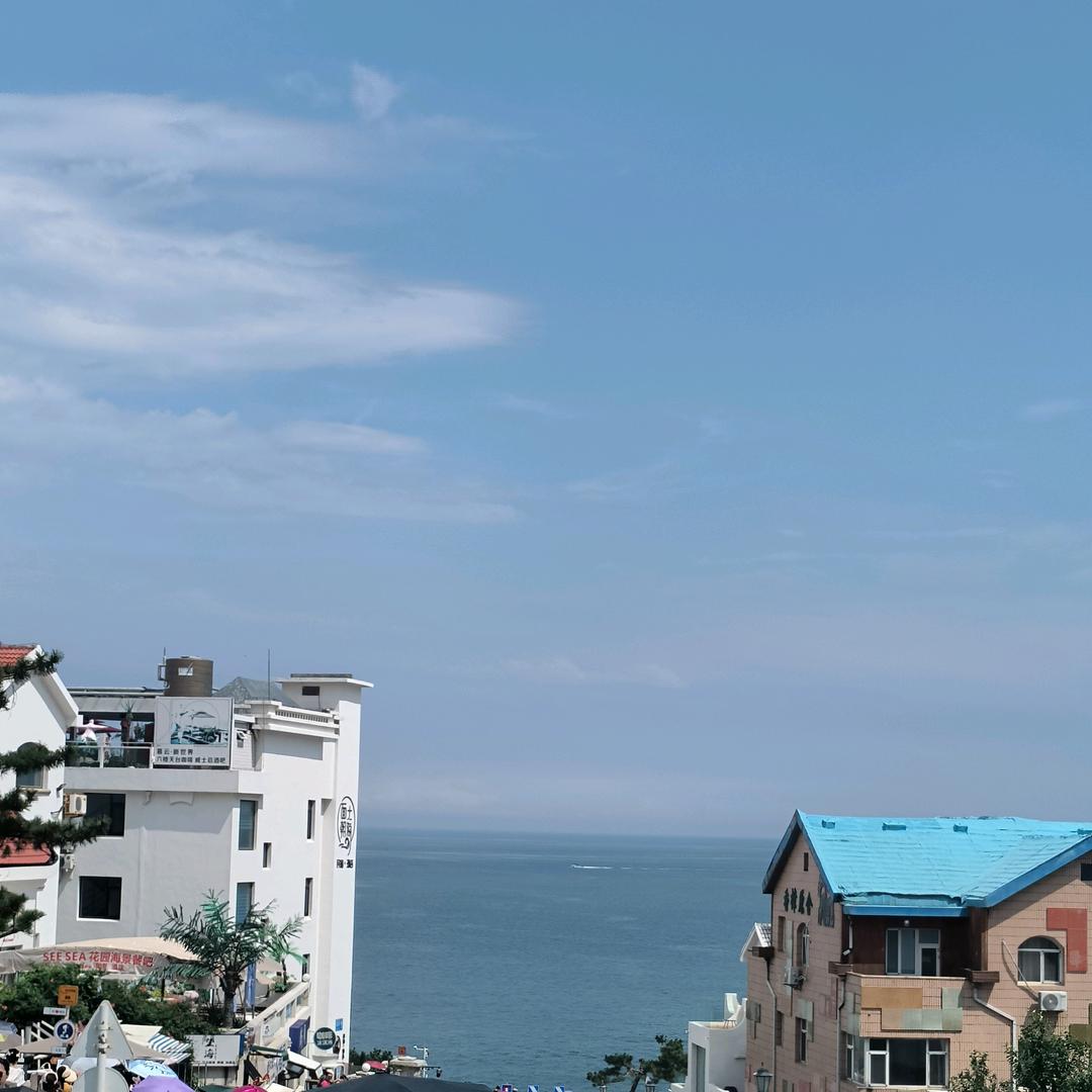 雁高飞