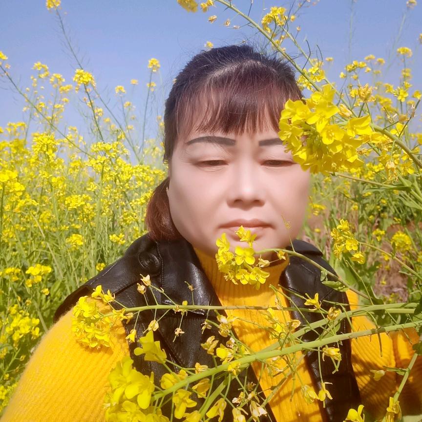 油菜花