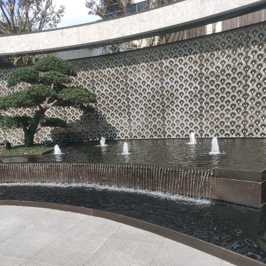 自由飞翔