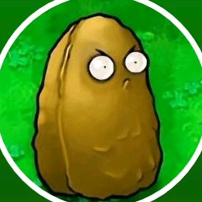 不吃僵尸的高坚果