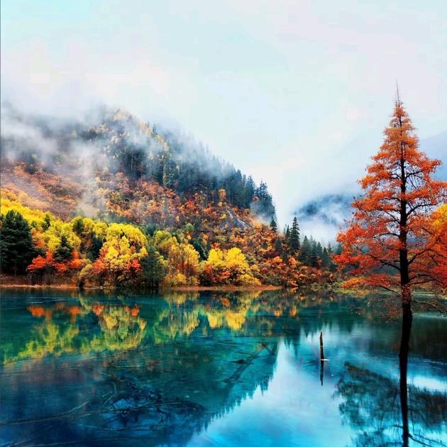 中国行-四川专场