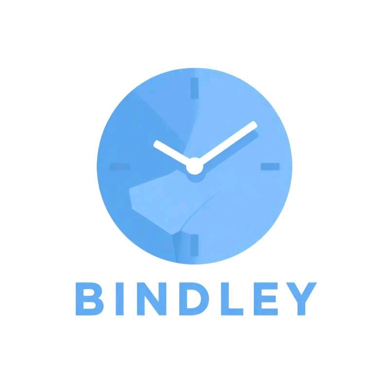 BINDLEY手表