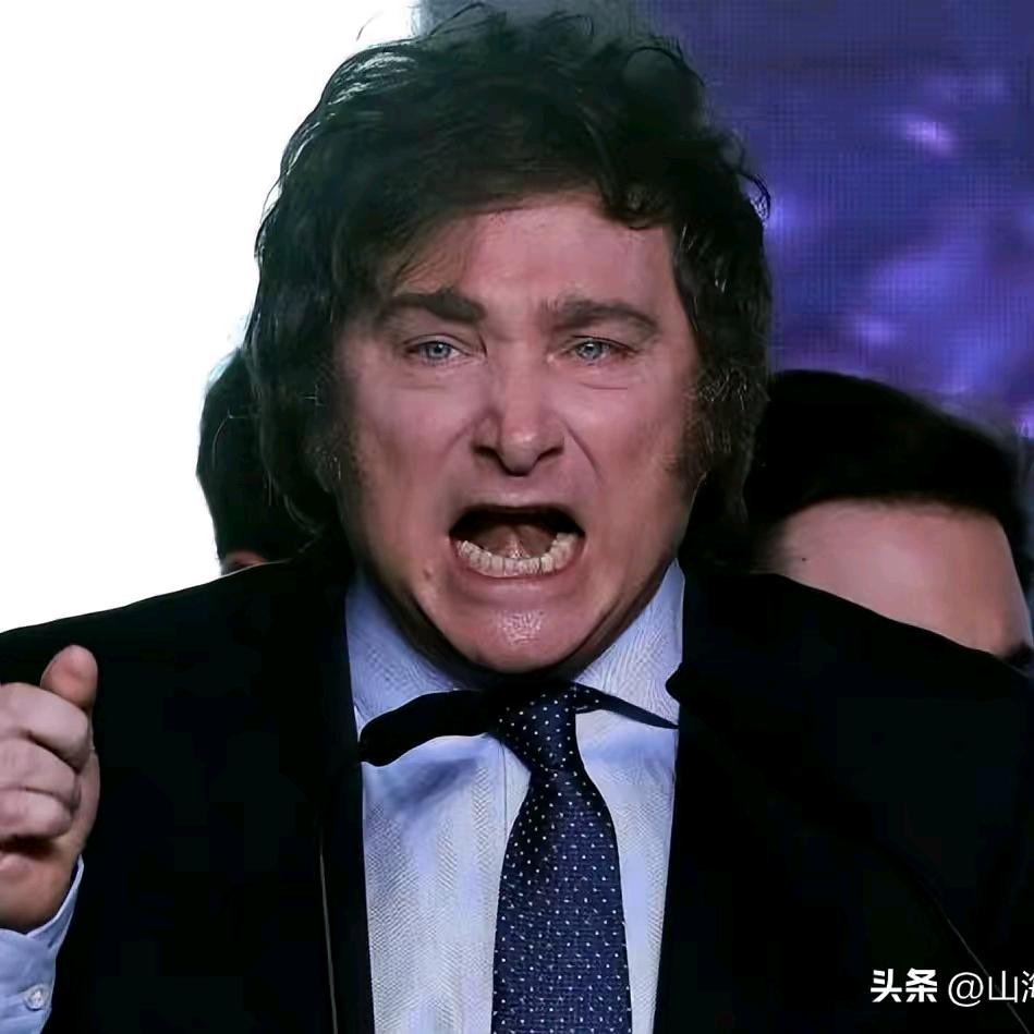 生物质燃料，处理固废，危废（葛）