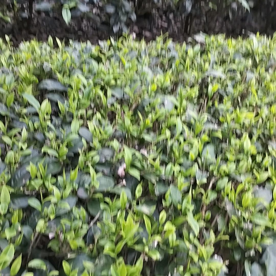 我要做坚强的女人，