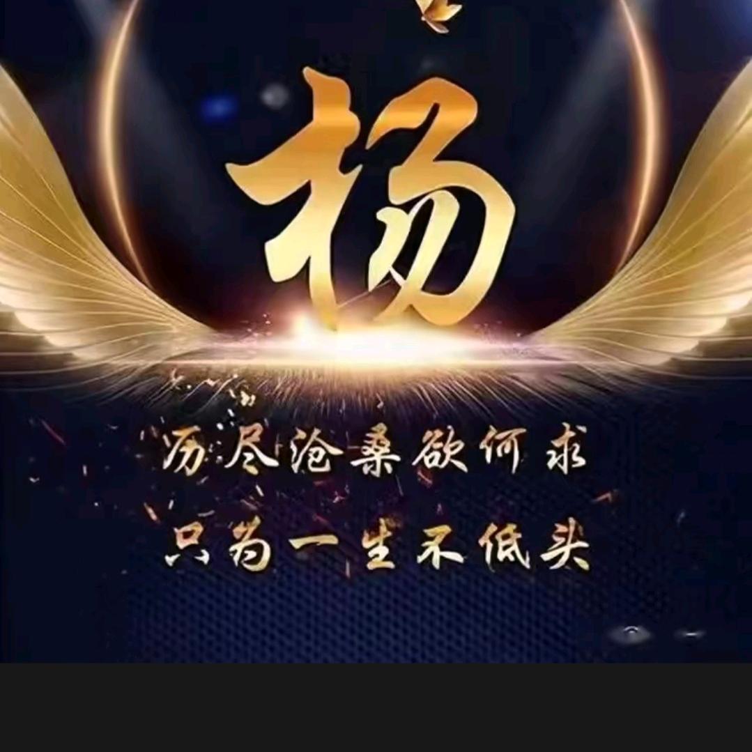 用户5364357375，东北强哥