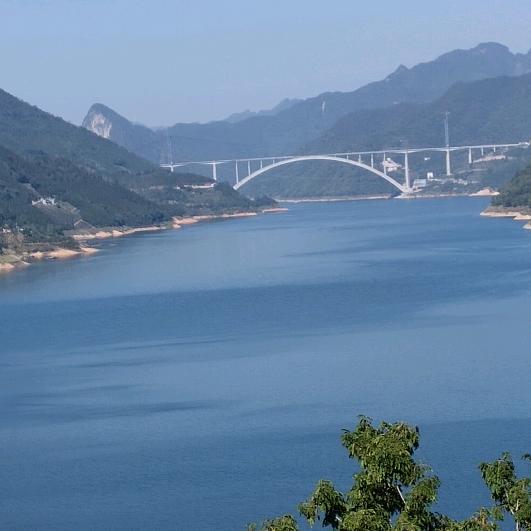 鼠哥哥