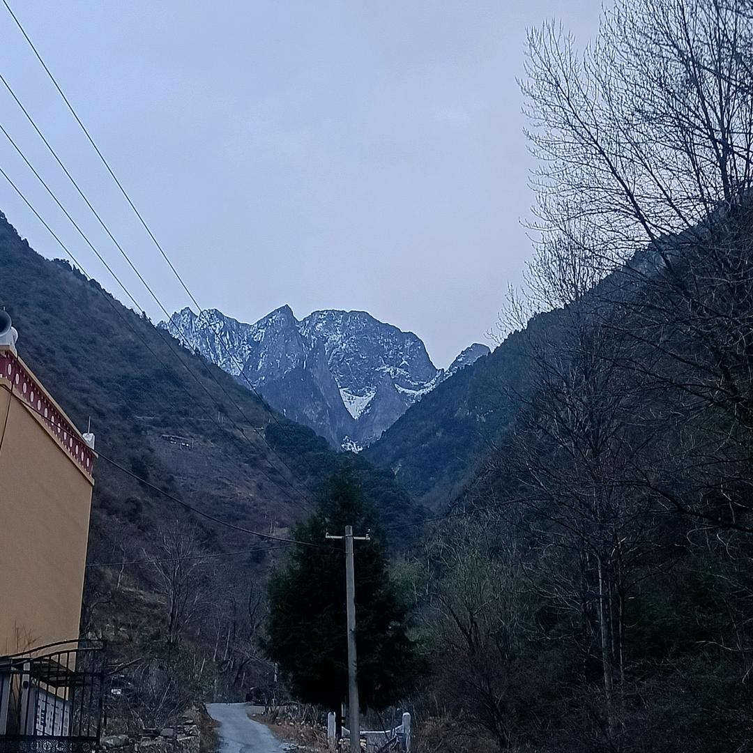 一路有李