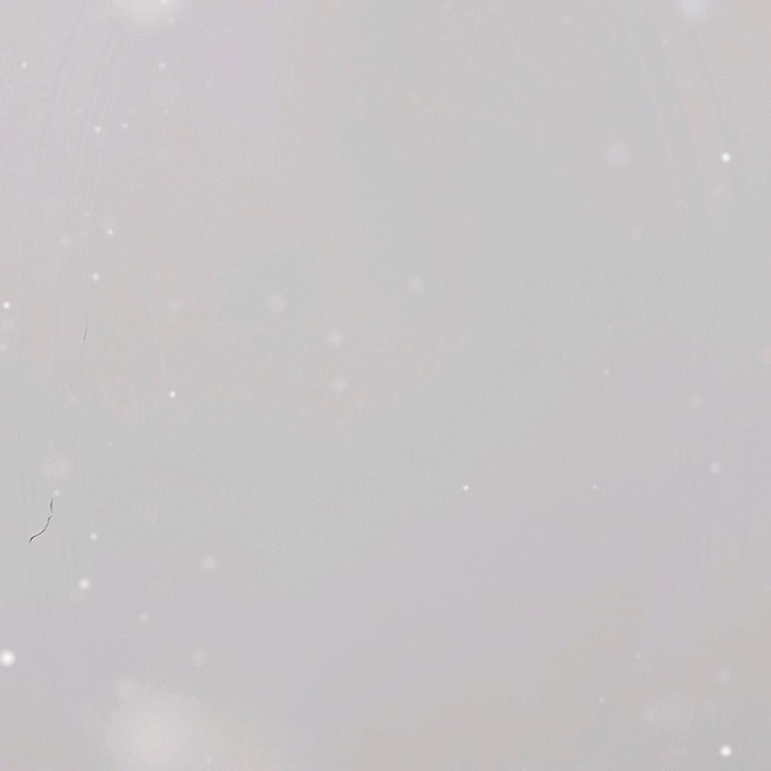 用户9743707042629