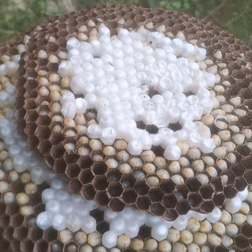 钓鱼小哥哥(つ°ω°)つ🐟