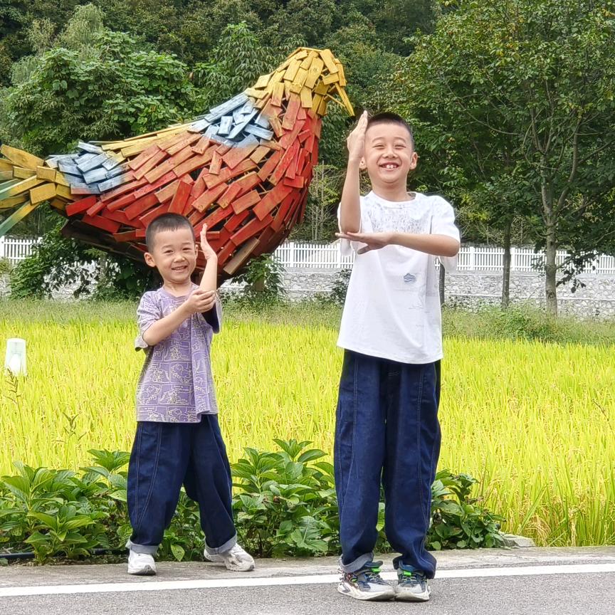 阳光的温暖