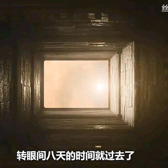 歌者文明观察者头像