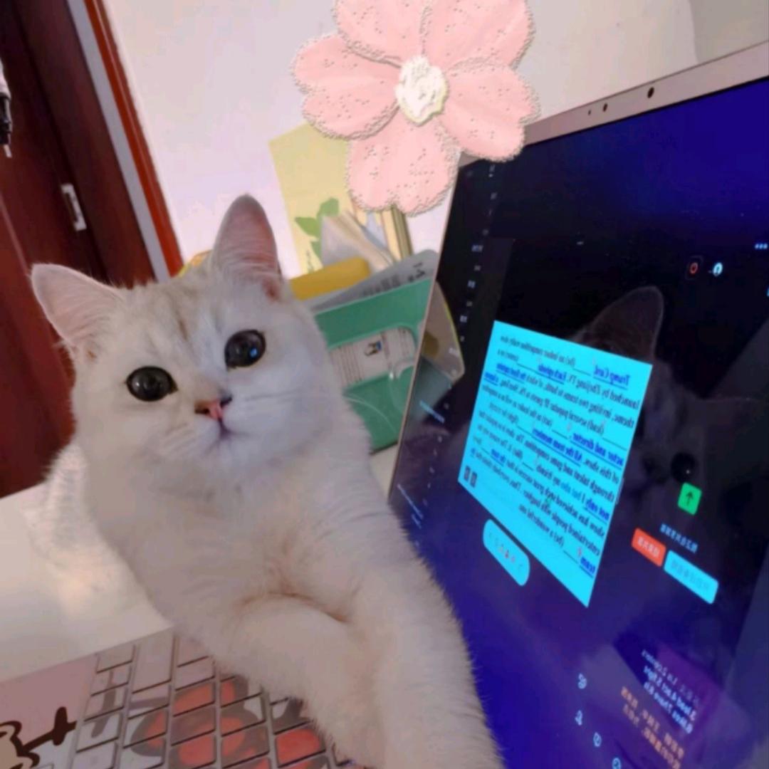 𝓧𝓨.磊mer