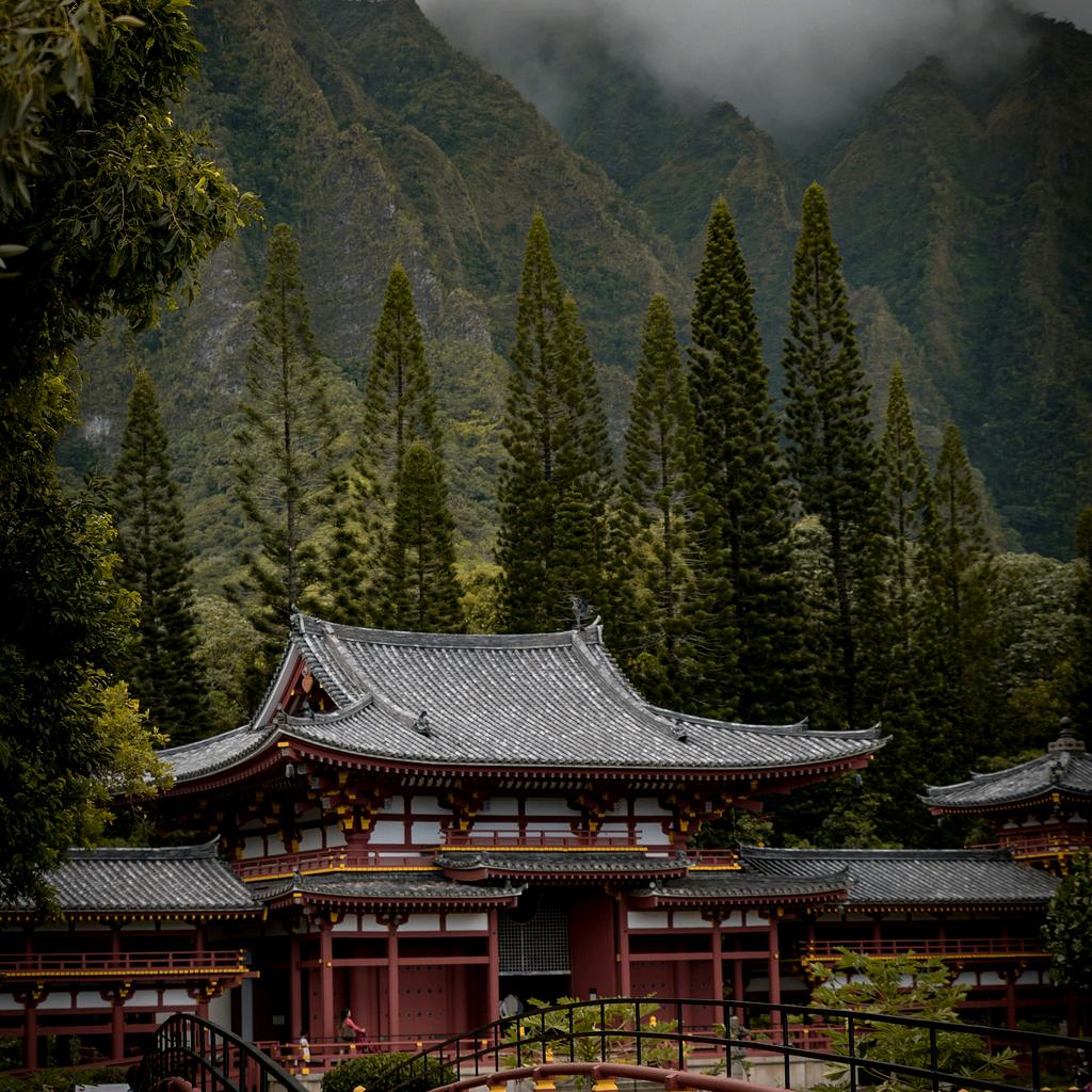 小满胜万全