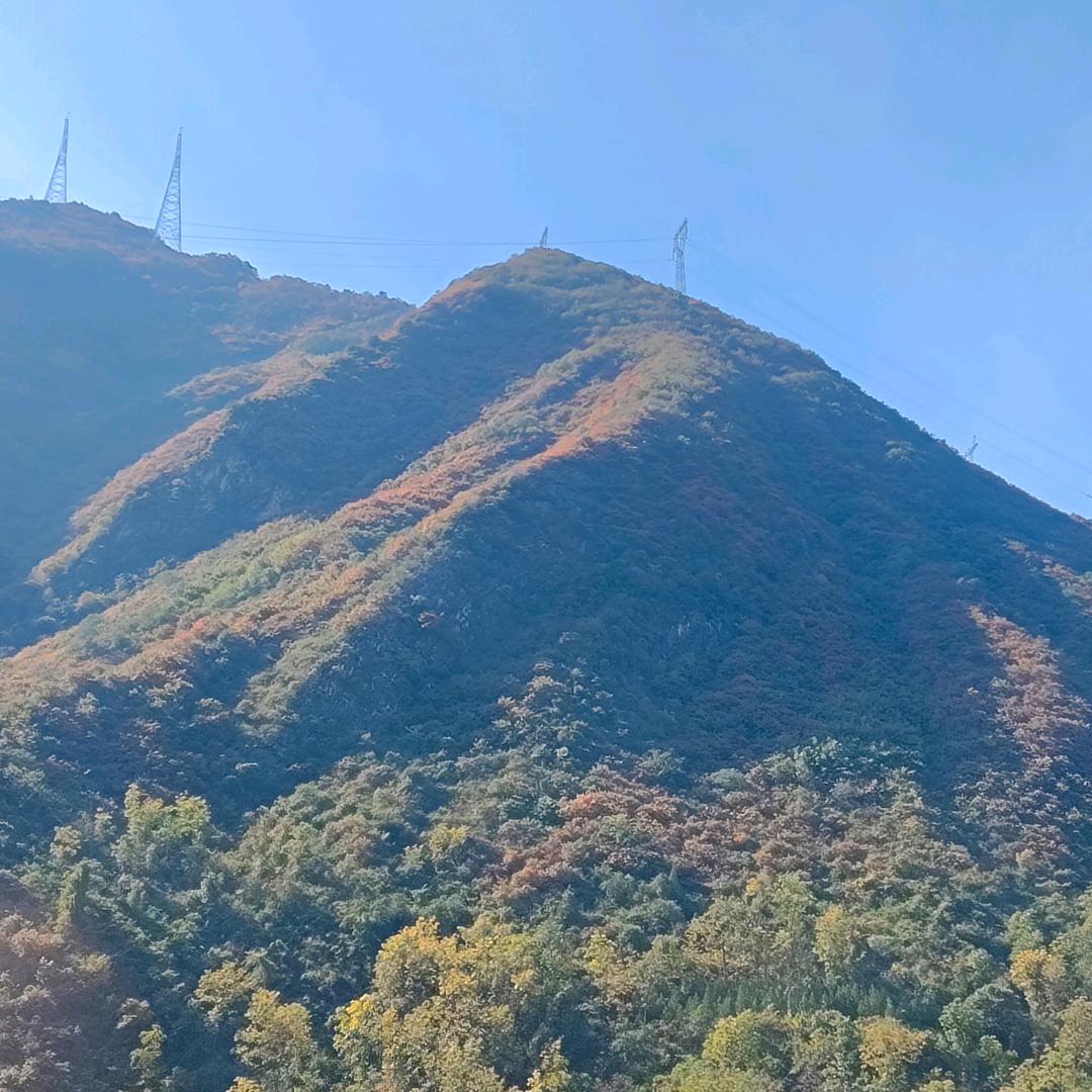 衍珩绿艺景观