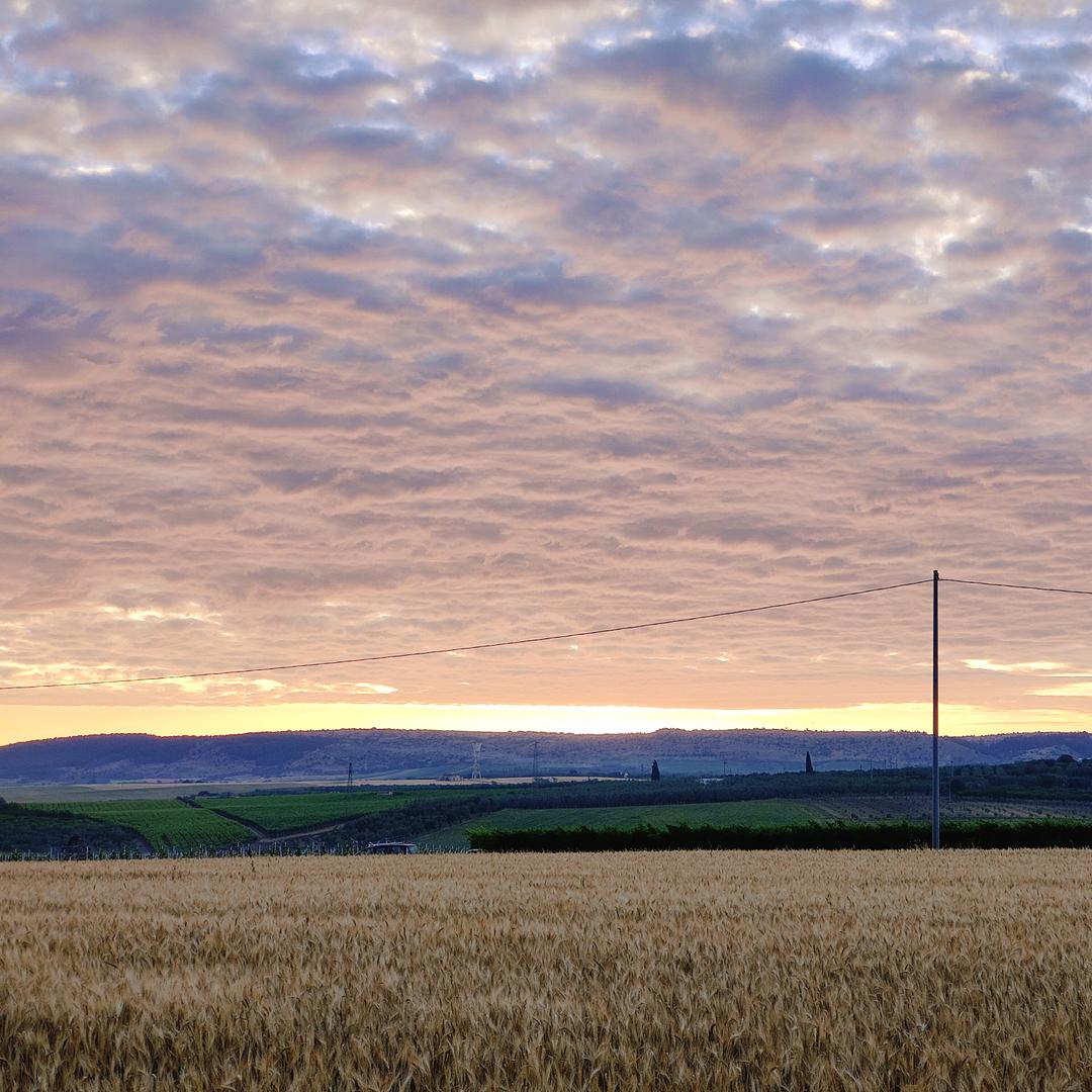 🇨🇳相意🇮🇹啊清