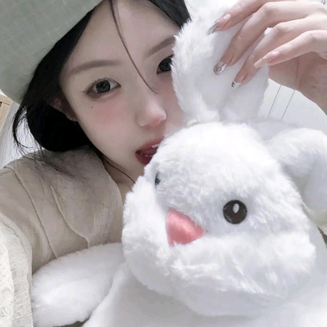 兔子姬