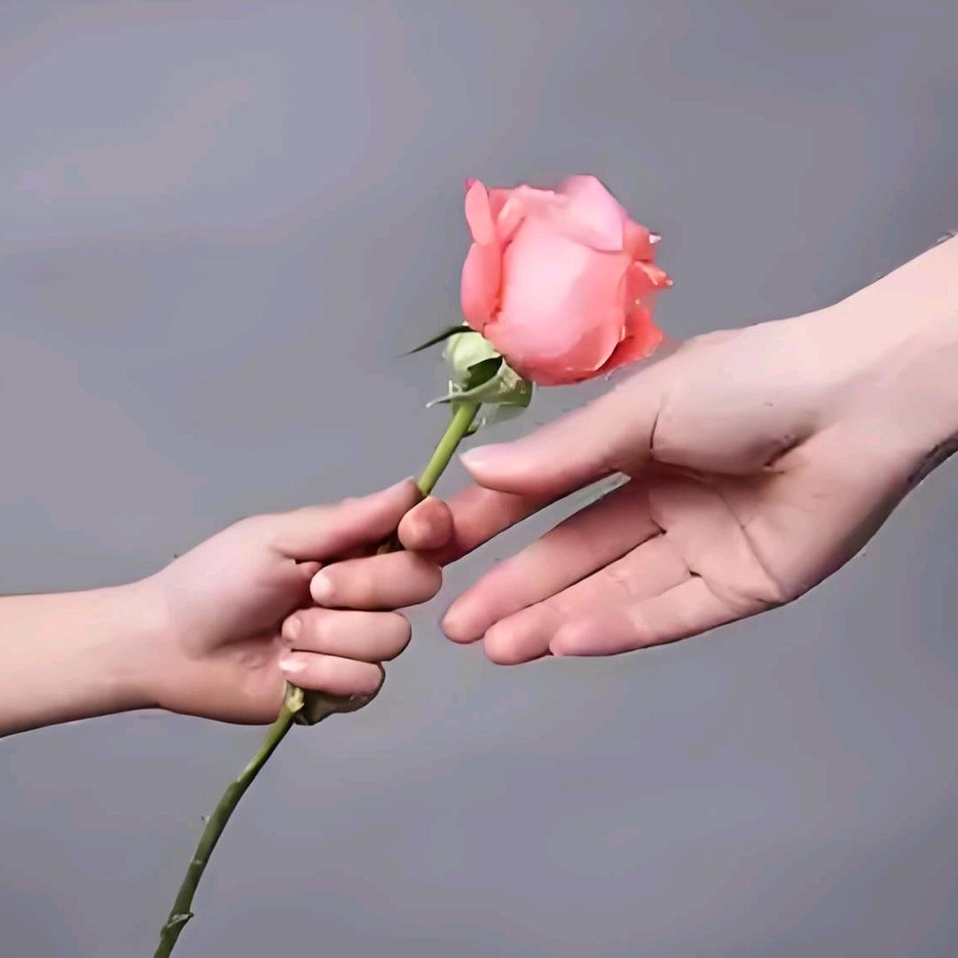 玫瑰余香