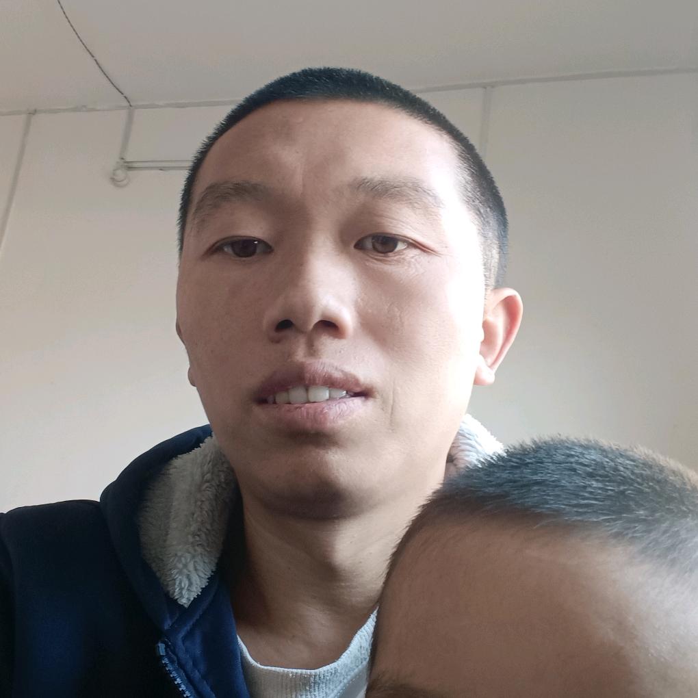 杨刘依依