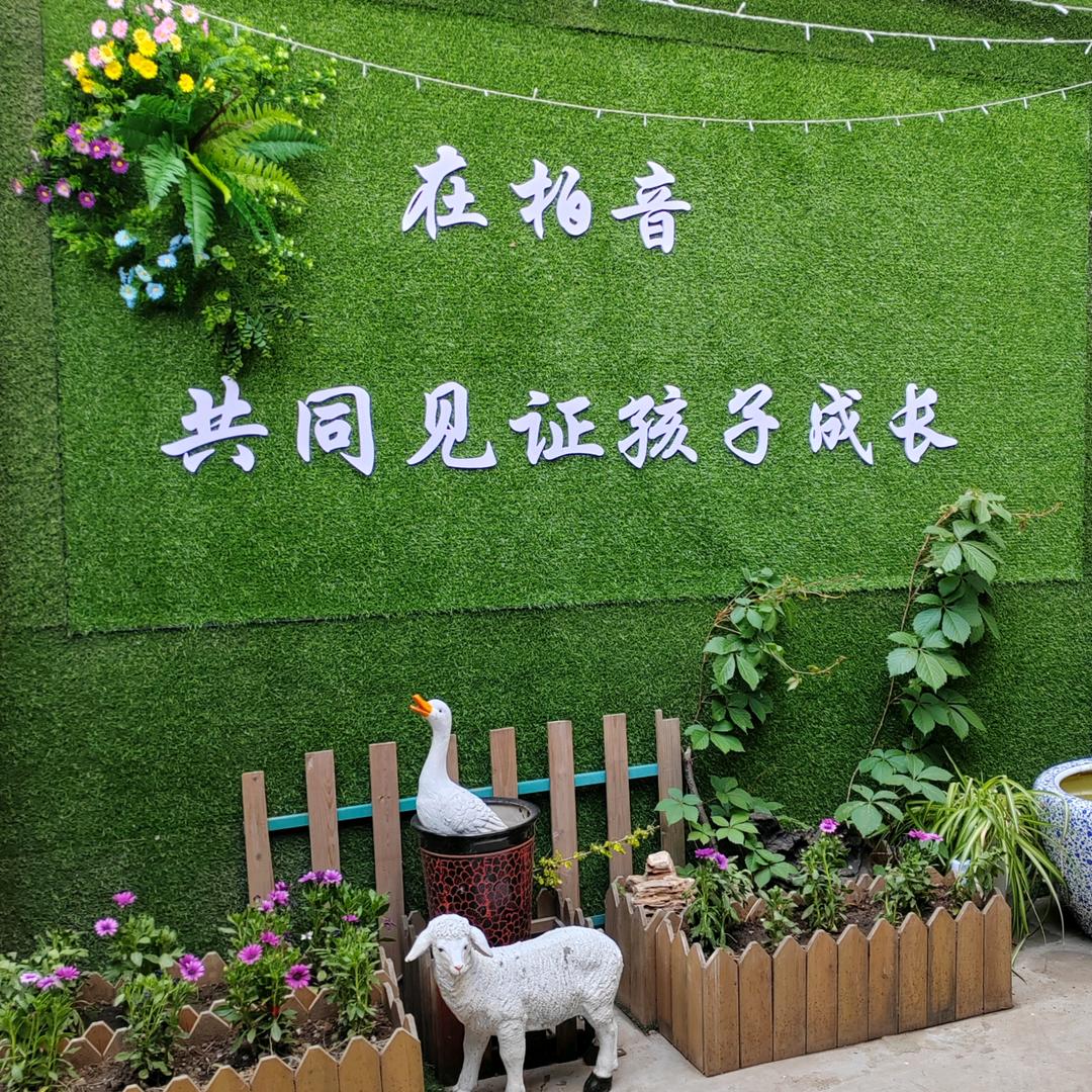点金书法 | 柏音琴行（呼市鼓楼苏虎店）