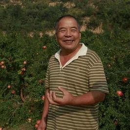 农业植保鹏叔