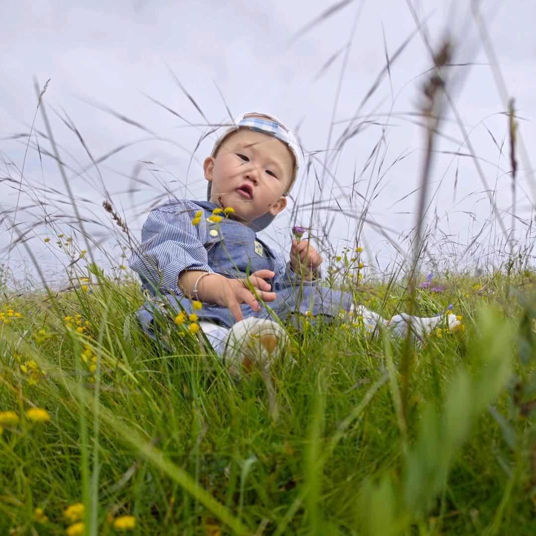 家有萌虎（小桔子）