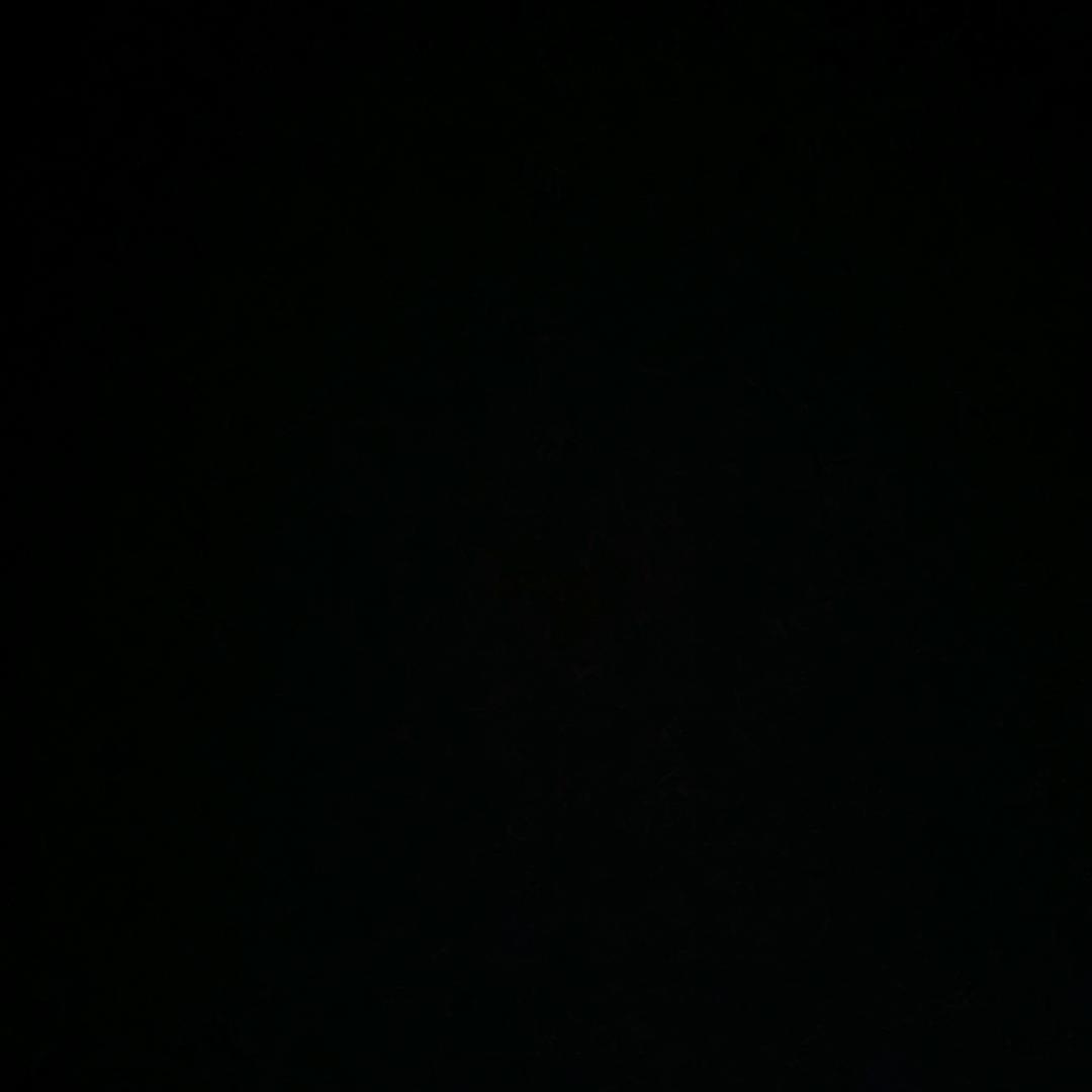 麝蠱龘