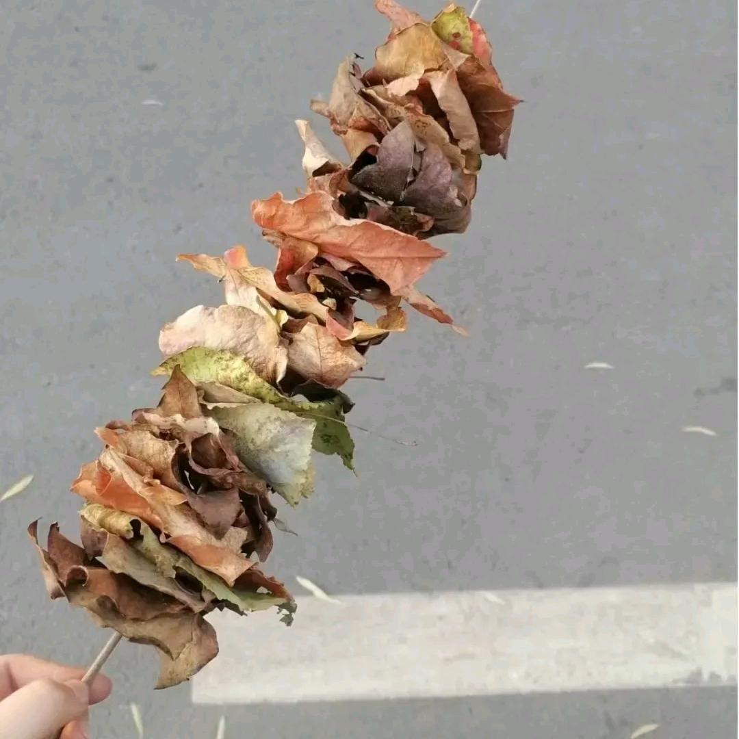 夏天的夏