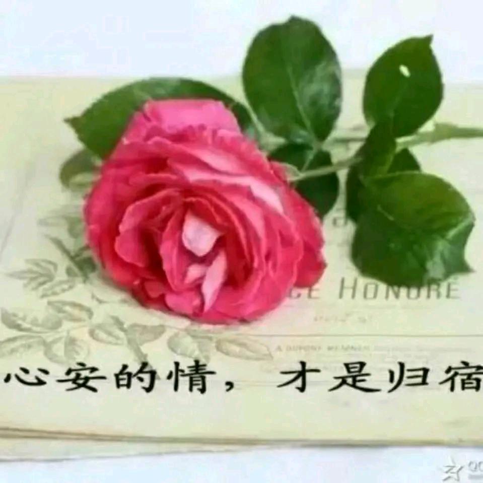 玫瑰🎤爱听歌