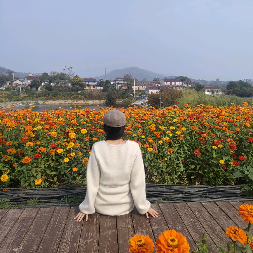 纵横驰骋