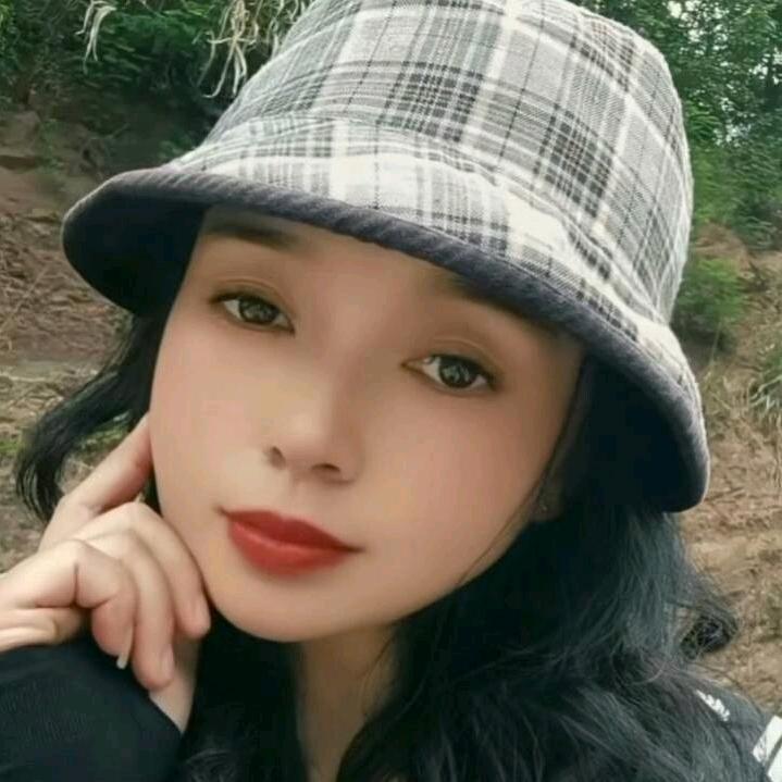 淡雅蔷薇