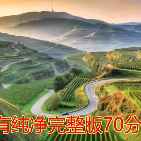 冲动的人