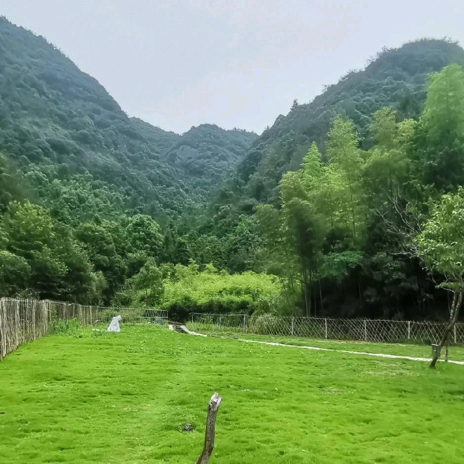 忍管念