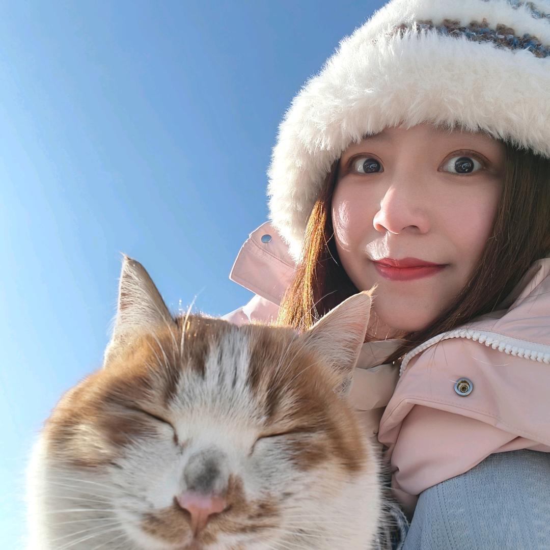 阿黎的旅行