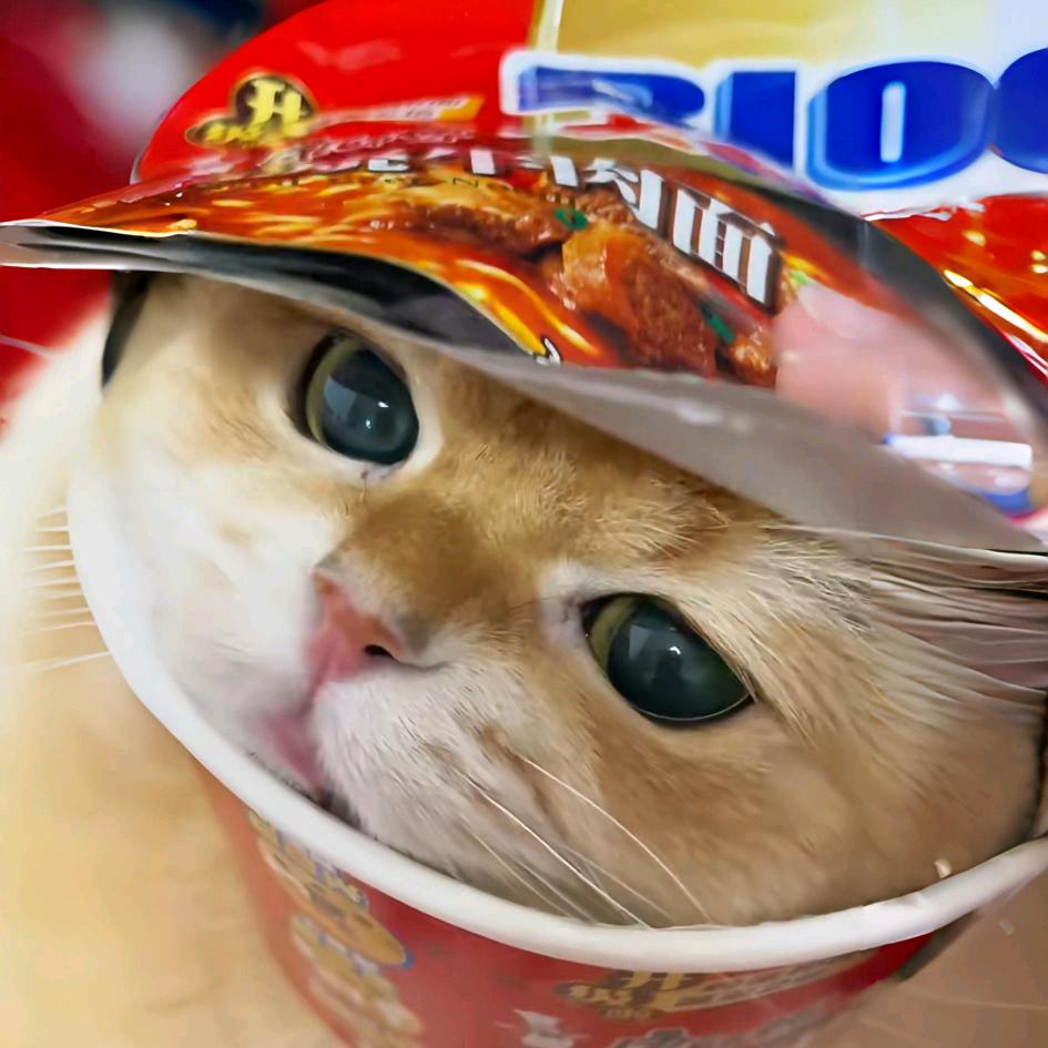 ㅤㅤㅤㅤㅤㅤㅤㅤㅤㅤㅤㅤㅤㅤㅤ小盐巴