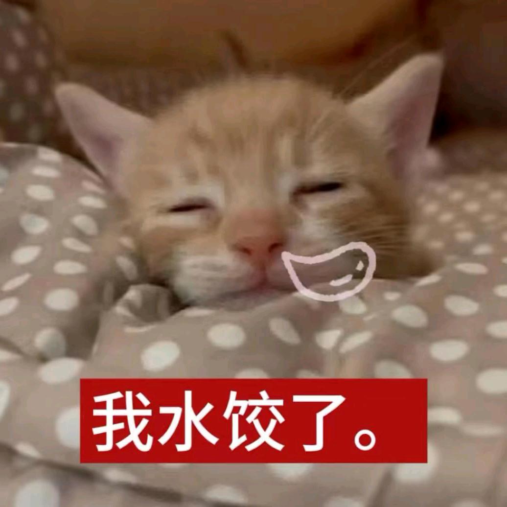 努力说服家里人嫁给走读中