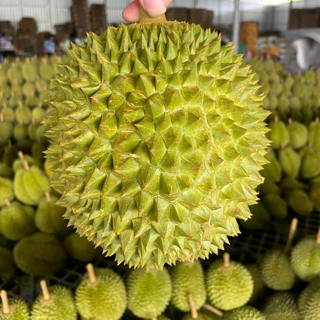 嘉丰果之源小时达榴莲大闸蟹