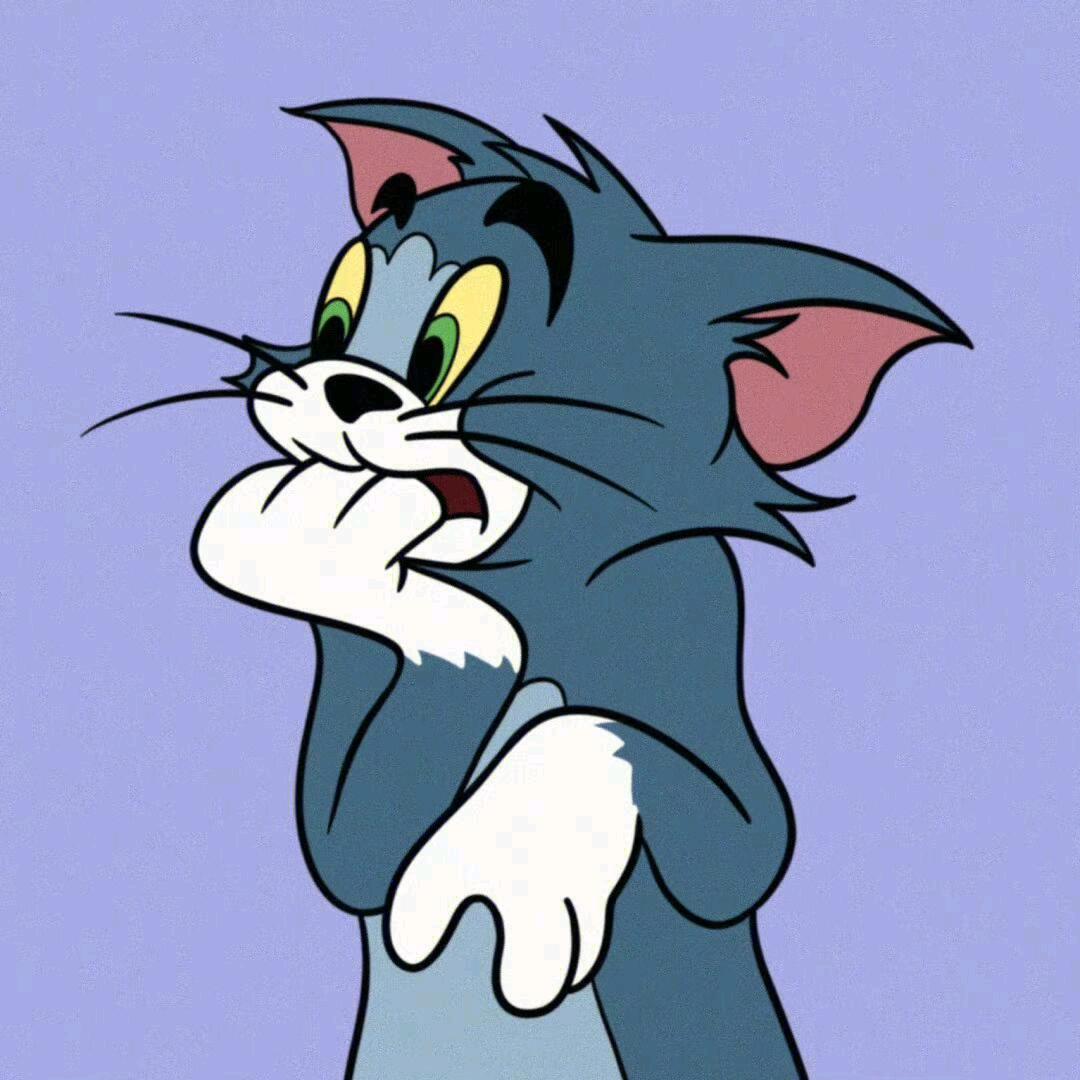 小蓝猫