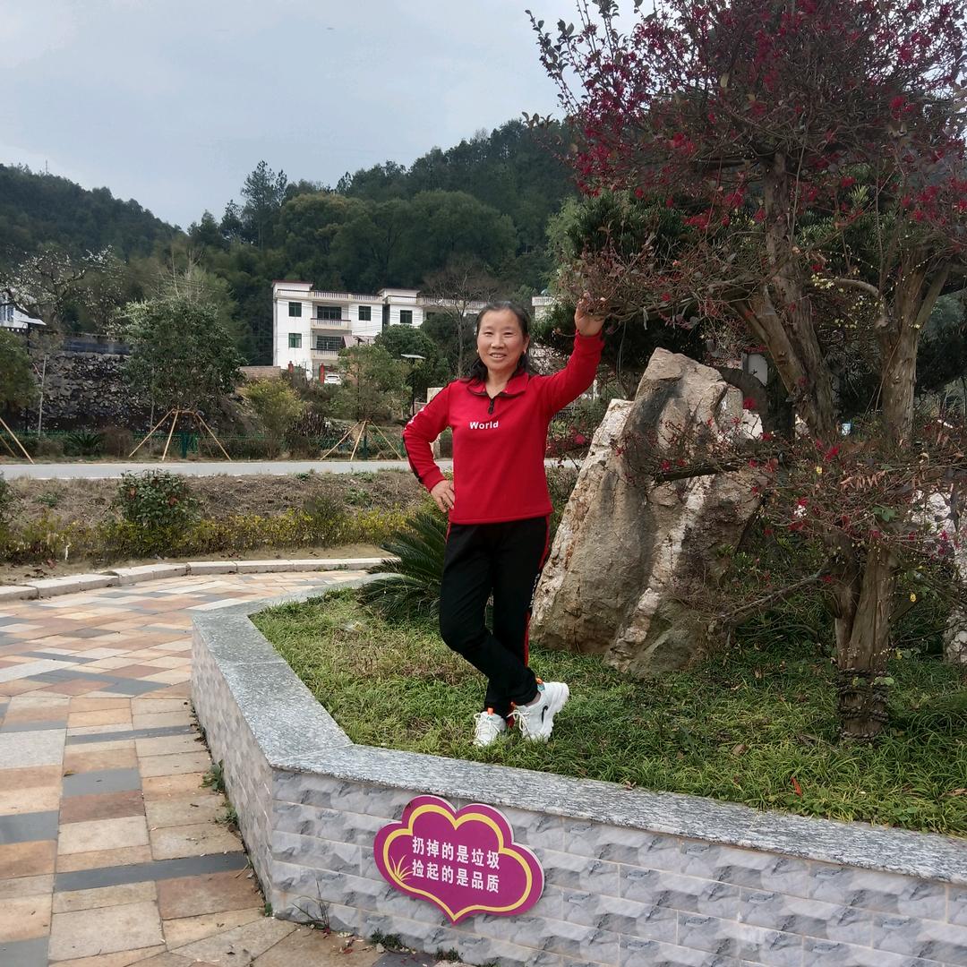 花开富贵