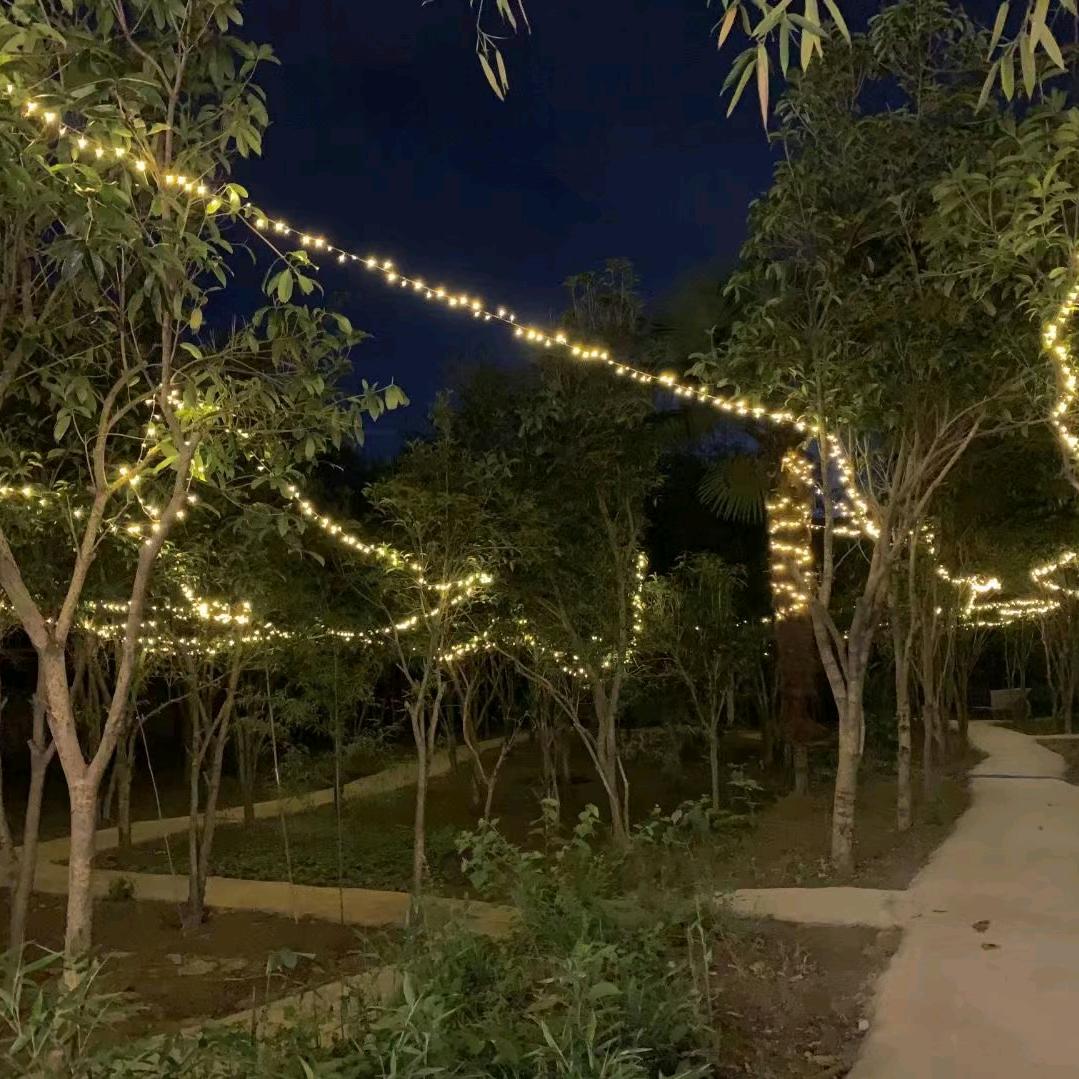 友哥，转销售小耳黑山羊！