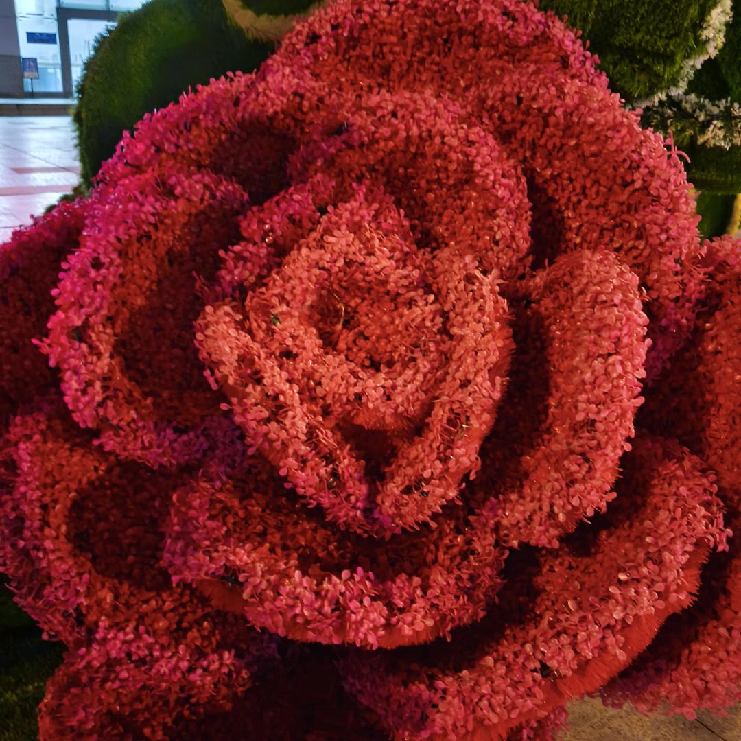 用户462890361陈群芳