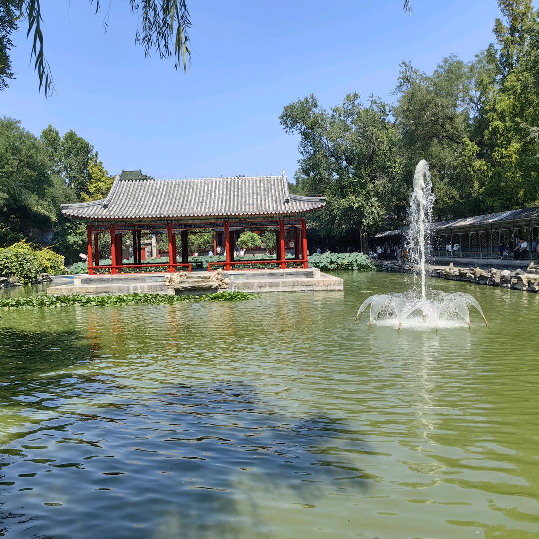 说点什么呢。